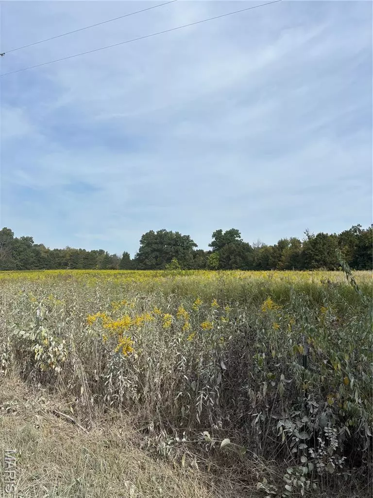 Troy, MO 63379,48.826 AC Snyder RD