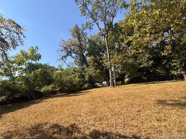 Hannibal, MO 63401,415 Sunshine TER