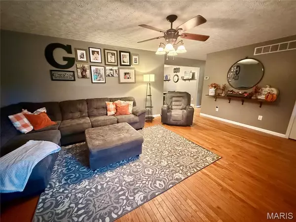 29 Saint Ann AVE, St James, MO 65559