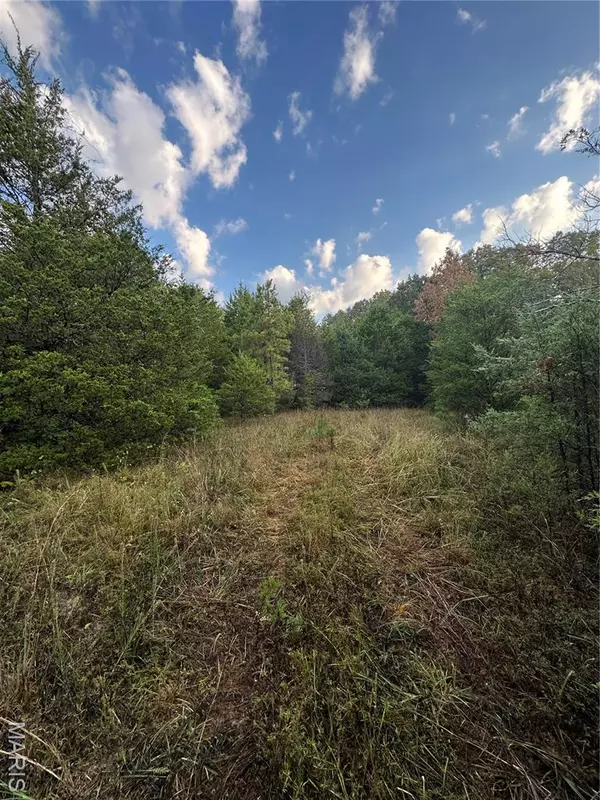 Ravenden, AR 72478,TBD Daily Trail Road