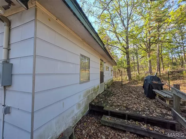 Fredericktown, MO 63645,1171 Newman Lake RD