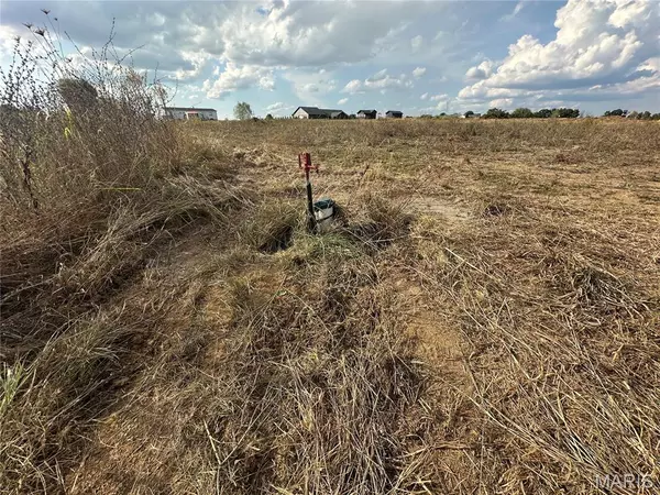 Farmington, MO 63640,2927 Christina CT