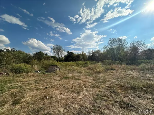 Farmington, MO 63640,2927 Christina CT