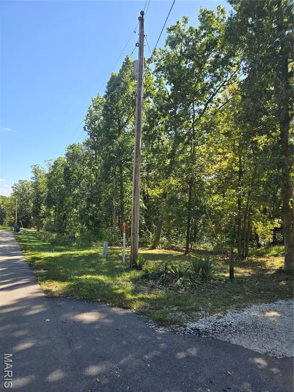 Wright City, MO 63390,13394 Bobwhite CT