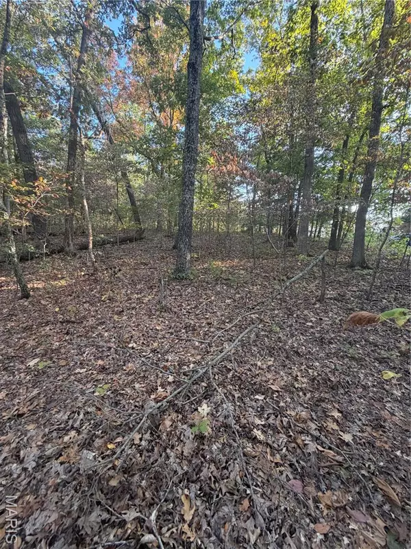 9734 Derby LN, Bonne Terre, MO 63628