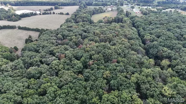 Warrenton, MO 63383,3.2 Acres, Lot #6, Palmyra Rd