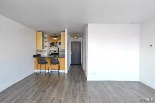 St Louis, MO 63103,210 N 17th ST #1010