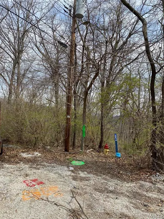 Imperial, MO 63052,3401 Henry Dr