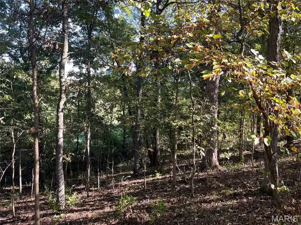 Hawk Point, MO 63349,100 Summers DR