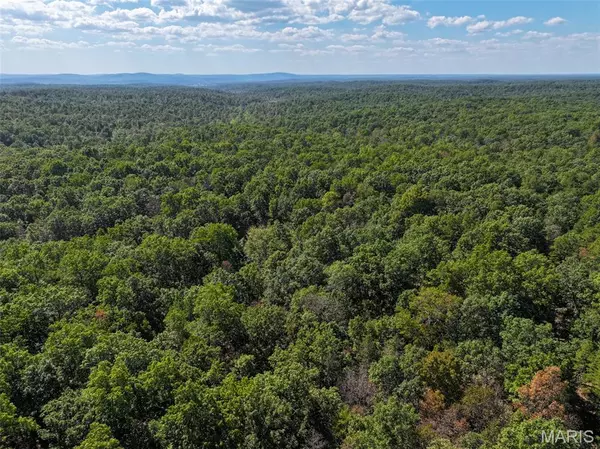 00 Delbridge Road, Potosi, MO 63664