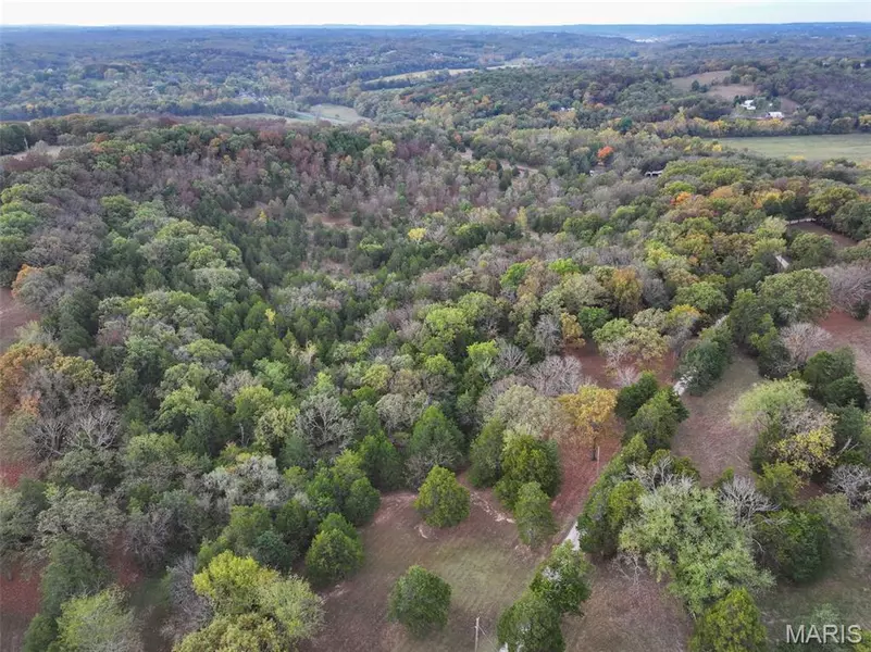 0 Scanlon Drive, De Soto, MO 63020