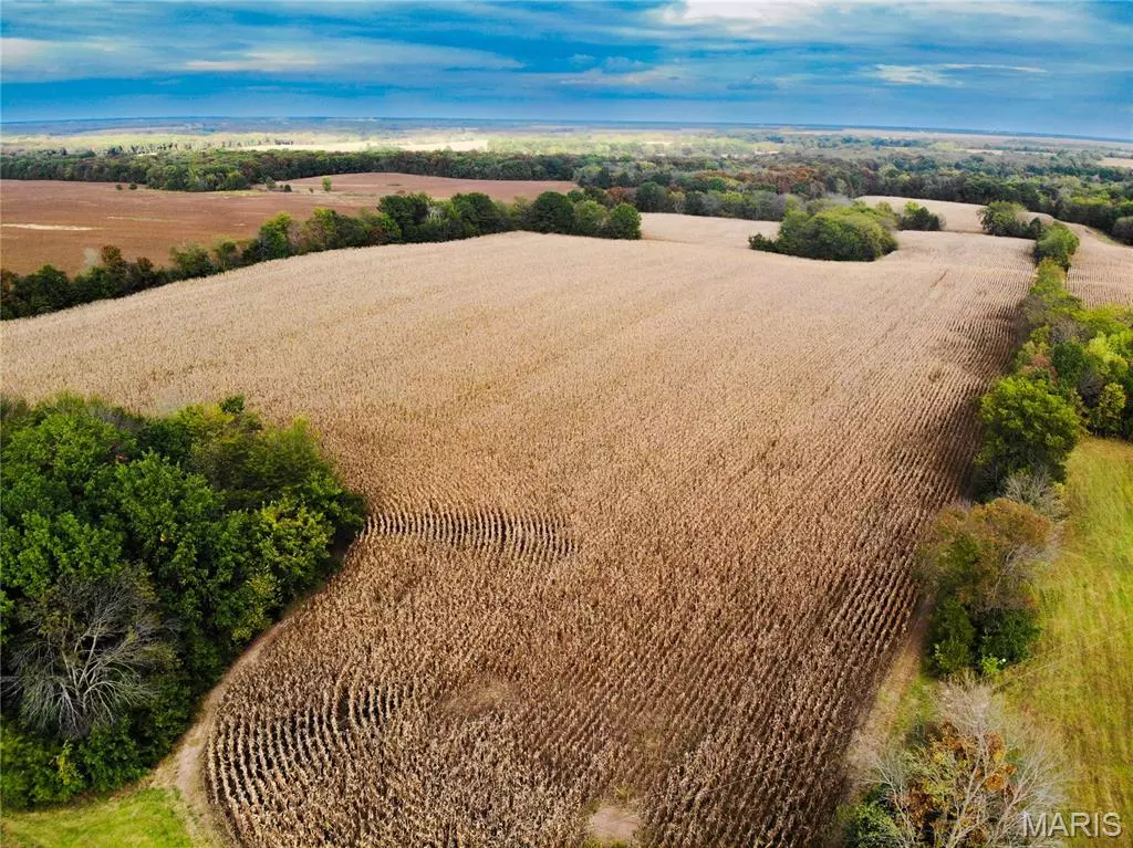 Perry, MO 63462,25 Monroe Road 645