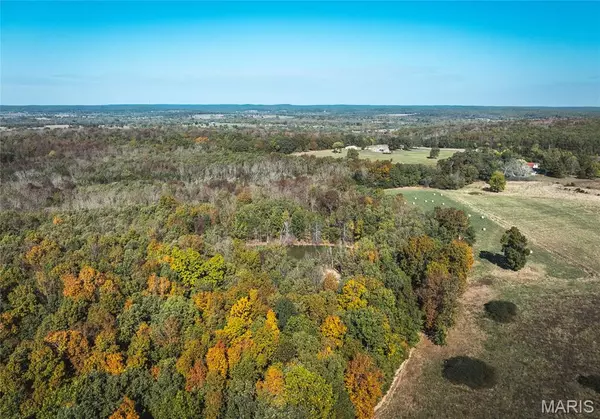 000 Drury RD, Caledonia, MO 63631