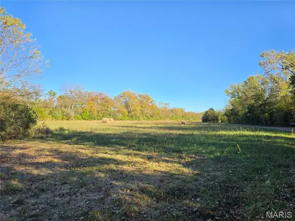 3966 College RD, Farmington, MO 63640