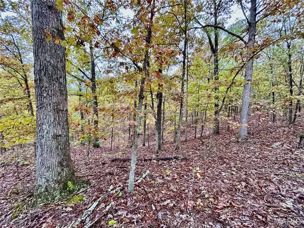 TBD Tract 1 County Road 4215, Salem, MO 65560