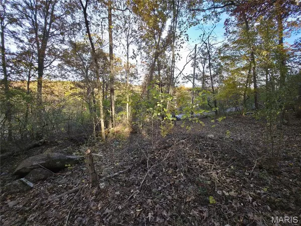 9313 Beach DR, French Village, MO 63036