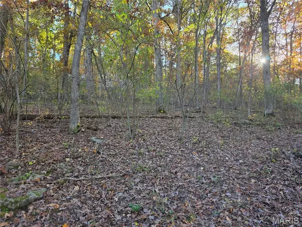 French Village, MO 63036,9313 Beach DR