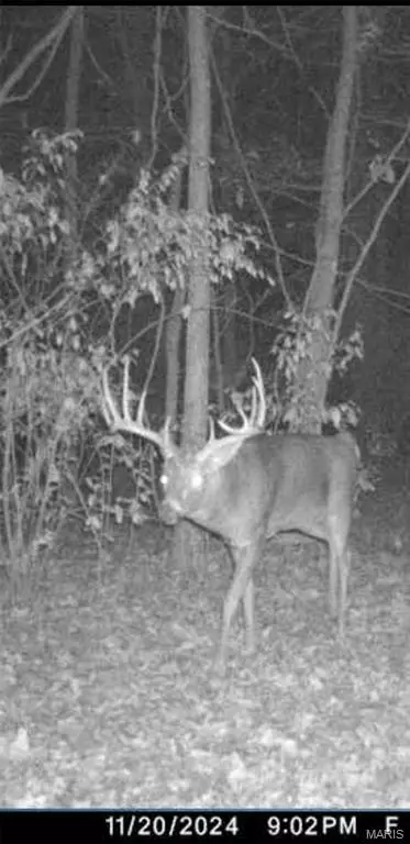 8206 Eakin Grove Rd, Benton, IL 62812