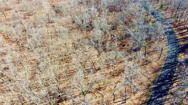 Farmington, MO 63640,461 Buzzard Rock Rd RD