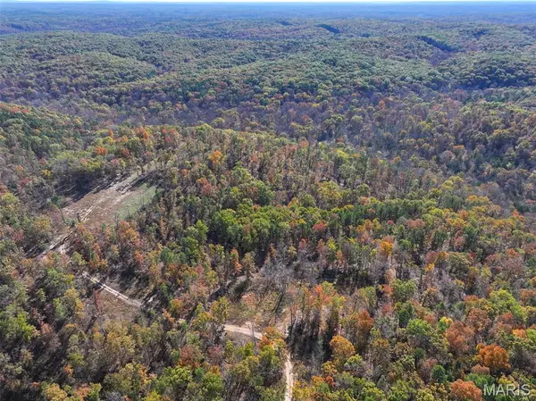 0 Floyd Tower Road, Potosi, MO 63664