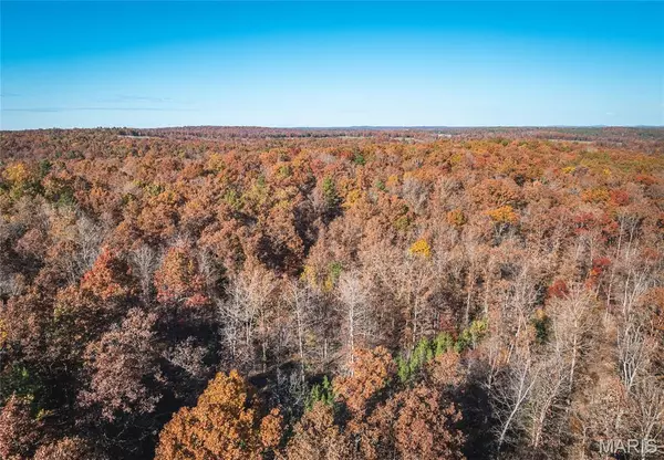 00 County Road 748, Centerville, MO 63633