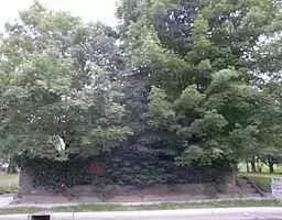 1969 Hillside AVE, Indianapolis, IN 46218