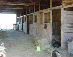 Knightstown, IN 46148,2602 W 1000 N
