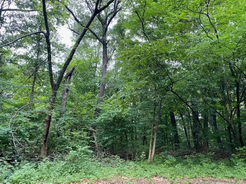 Martinsville, IN 46151,00 Hill DR