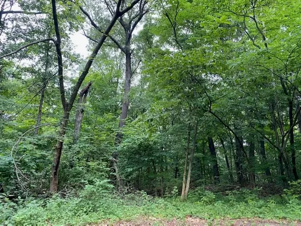 00 Hill DR, Martinsville, IN 46151