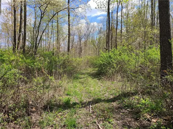 Monrovia, IN 46157,0 Kivett Rd