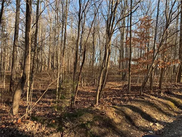 Rockville, IN 47872,Lot 49 Troutman DR