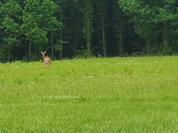 Gosport, IN 47460,7067 McFarren RD