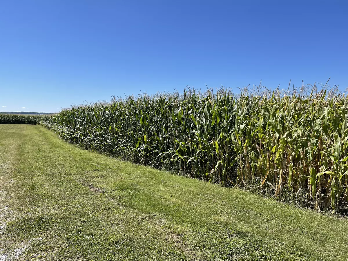 Stilesville, IN 46180,0 W S R 42