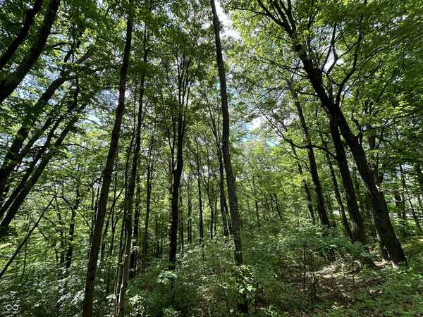 0 Dynasty Ridge RD, Martinsville, IN 46151