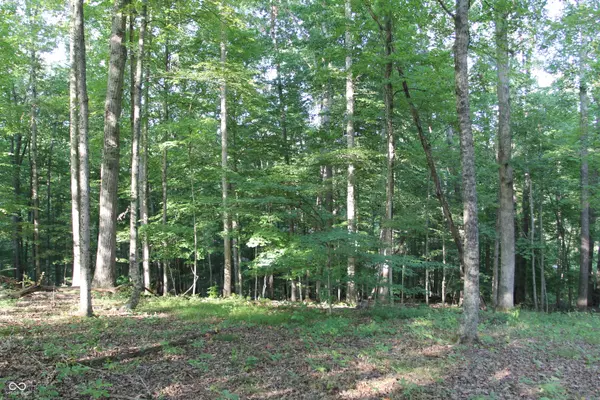 Lot 20 Ridgeway DR, Nashville, IN 47448