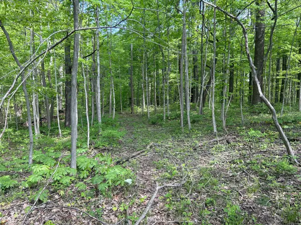 Monrovia, IN 46157,0000 N Briarhopper RD