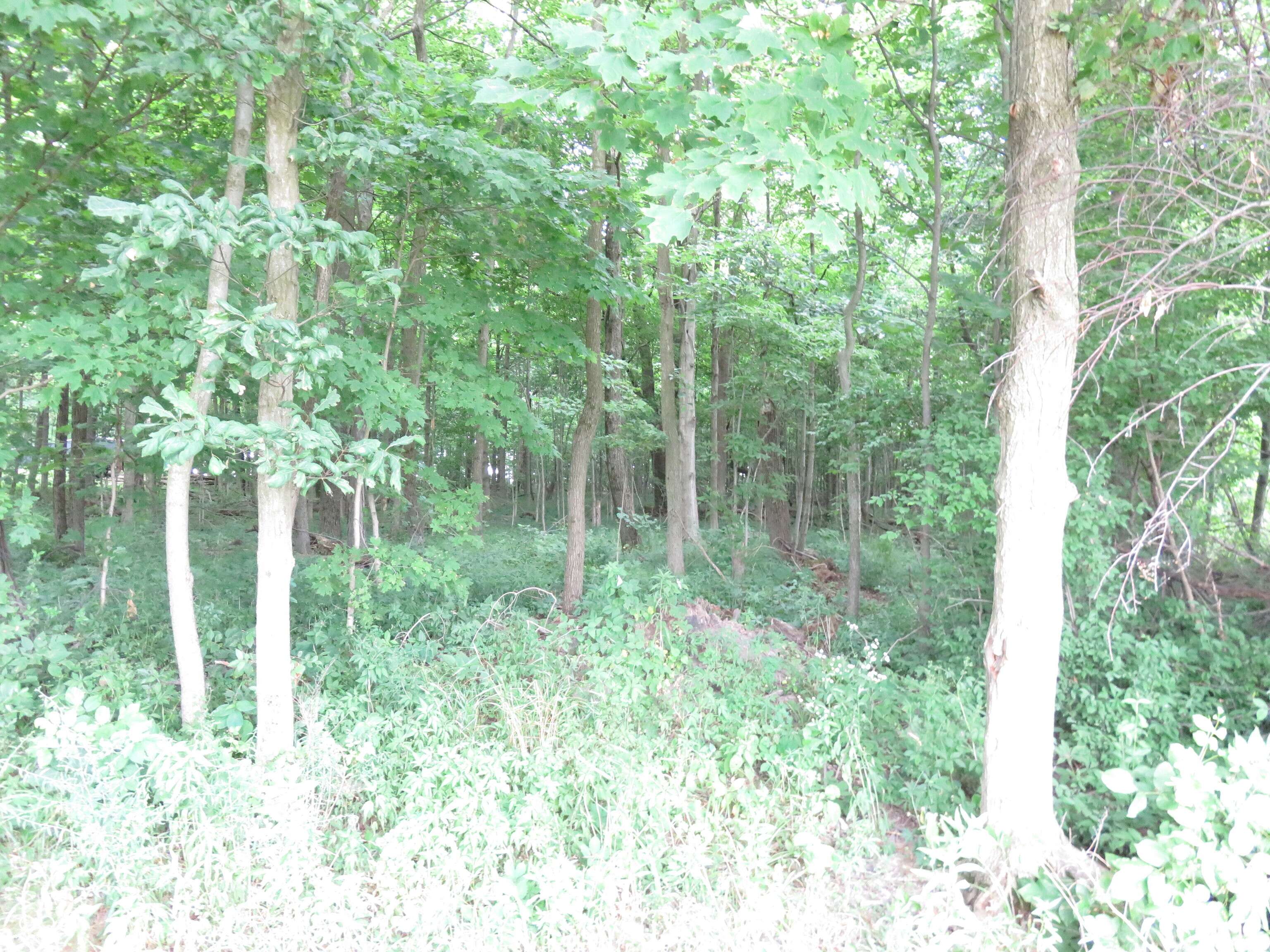 Parker City, IN 47368,400 S 1200 W