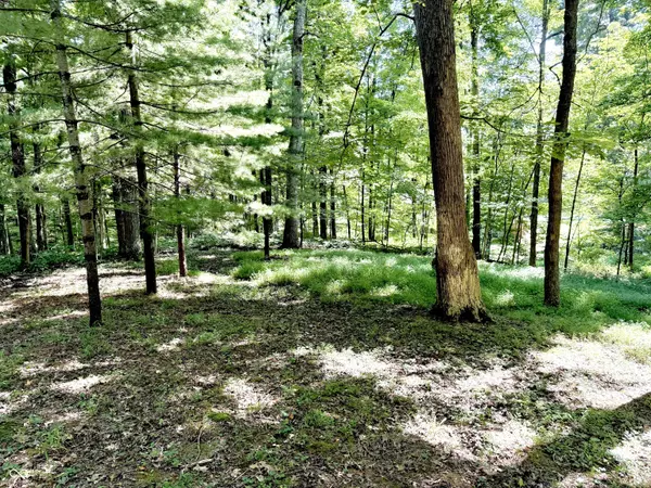 Nineveh, IN 46164,6645 Buffalo DR