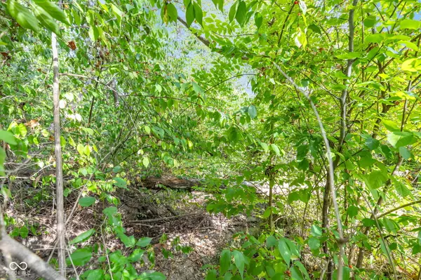 Indianapolis, IN 46234,4080 Tansel RD