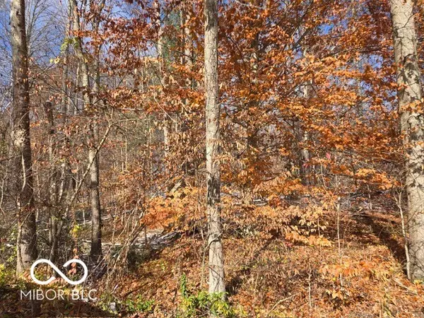 Unionville, IN 47468,0 N Shore DR