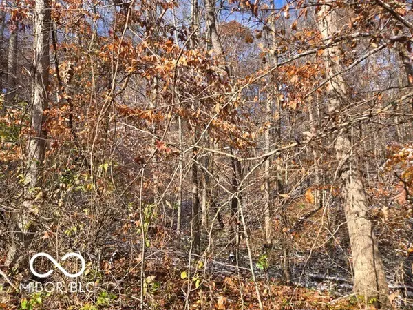 Unionville, IN 47468,0 N Shore DR