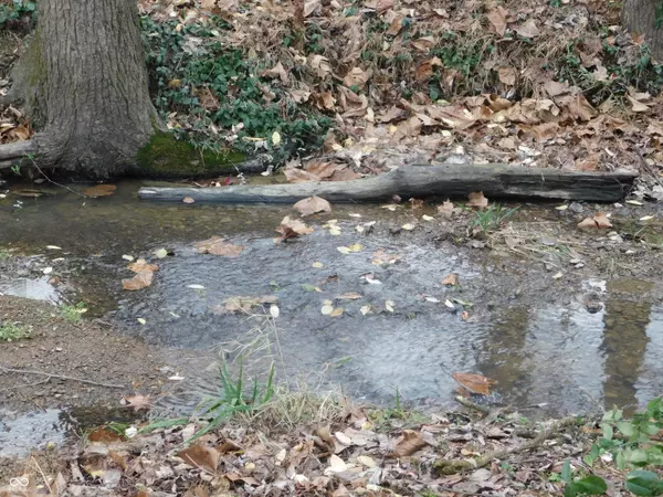 Vallonia, IN 47281,5796 S 200 W