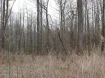 Spencer, IN 47460,00 Autumn Hills