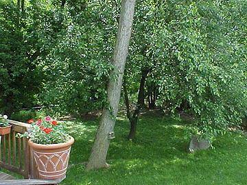 Indianapolis, IN 46231,1685 Stacy Lynn DR