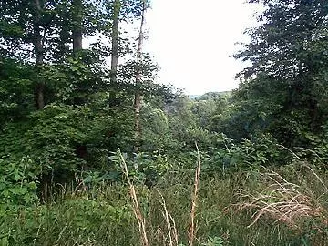 Nashville, IN 47448,0000 Albert Johnson RD