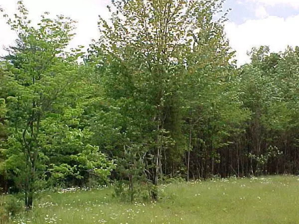 Lot 5 Garrison CT, Seymour, IN 47274