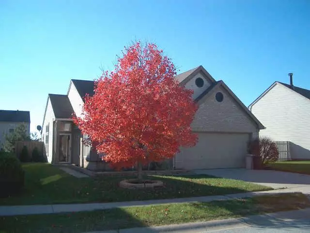 Indianapolis, IN 46254,5141 ASPEN TALON CT