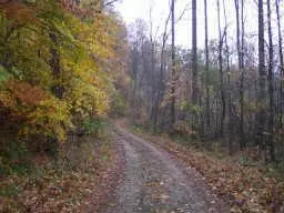 Reelsville, IN 46171,0 County 450 W RD