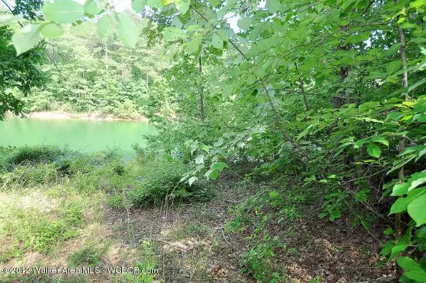 LOT #1 WINDING CREEK SUBDIVISION, Arley, AL 35541