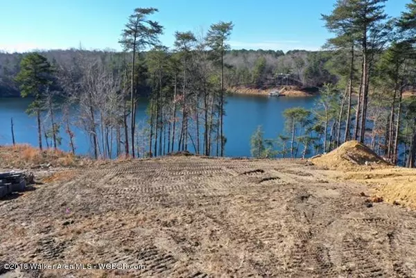 Bremen, AL 35033,LOT 25 HIDDEN SHORES